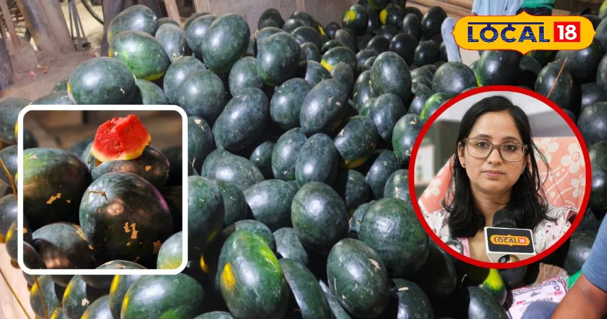 जिम करने वालों के लिए 1 टुकड़ा एनर्जी का तूफान, सुबह खाएं या रात में? जानिए तरबूज का गुणा गणित