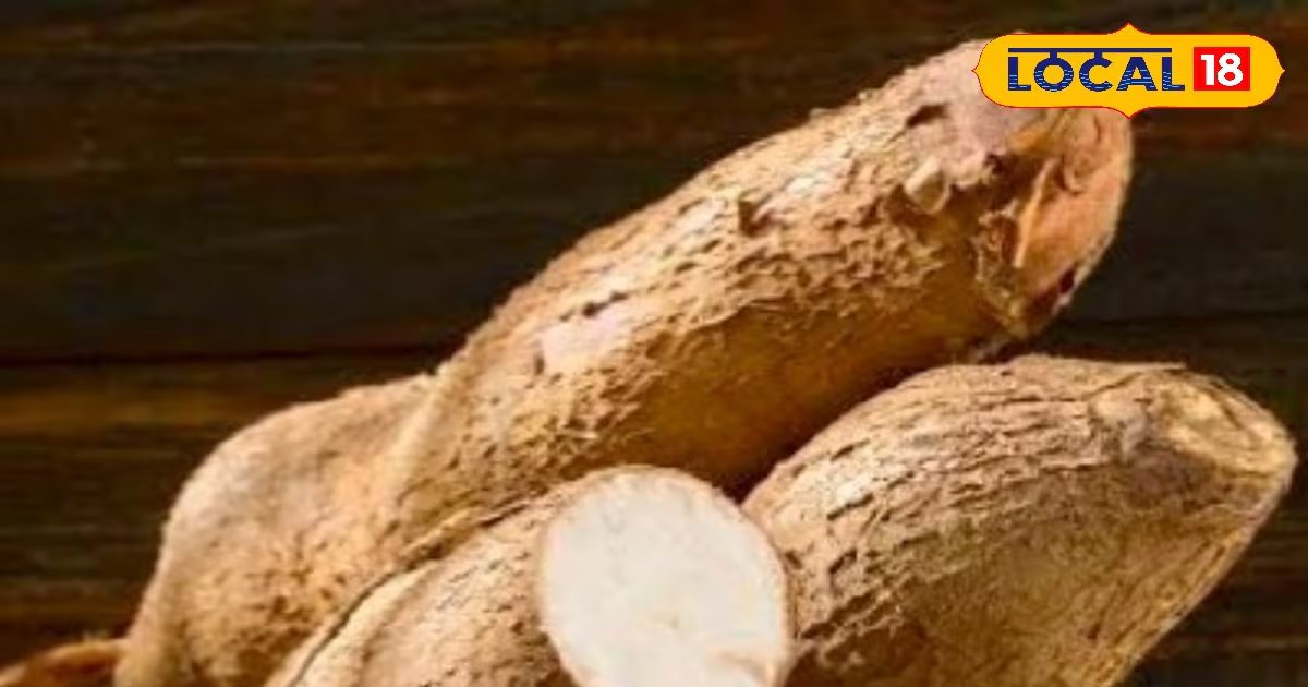 Health Tips: गर्मी में कुडजू स्टार्च का करें सेवन, पसीना, थकान और गर्मी से मिलेगी राहत, शरीर को मिलेगा जबरदस्त फायदा