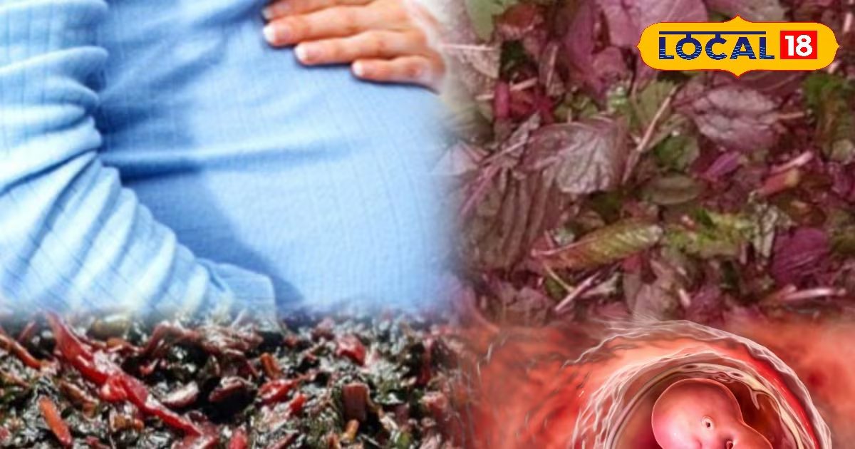 Health Tips: मां बनने वाली हैं? डाइट में जरूर शामिल करें लाल साग, बच्चे की हेल्थ के लिए है सुपरफूड