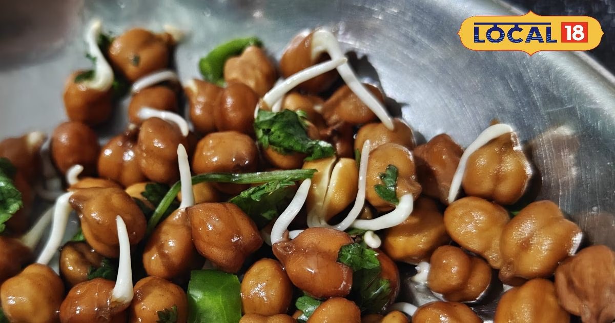 एनर्जी का खजाना है ये काला चना! गर्मी में थकान और सुस्ती भगाएगा दूर, सुबह खाने से पूरे दिन देगा ताकत