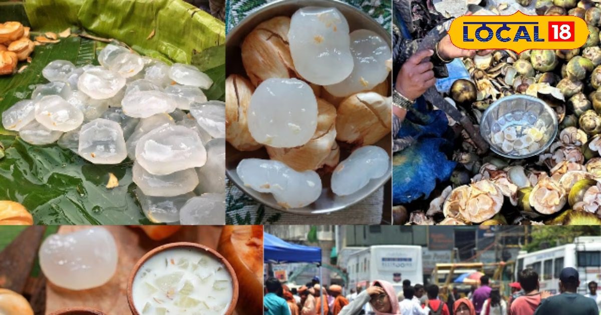 बाजार से इंस्टाग्राम तक छाया ये देसी फल, आखिर क्यों लोग दे रहे हैं 250 रुपये तक? जानिए इसके लाजवाब फायदे