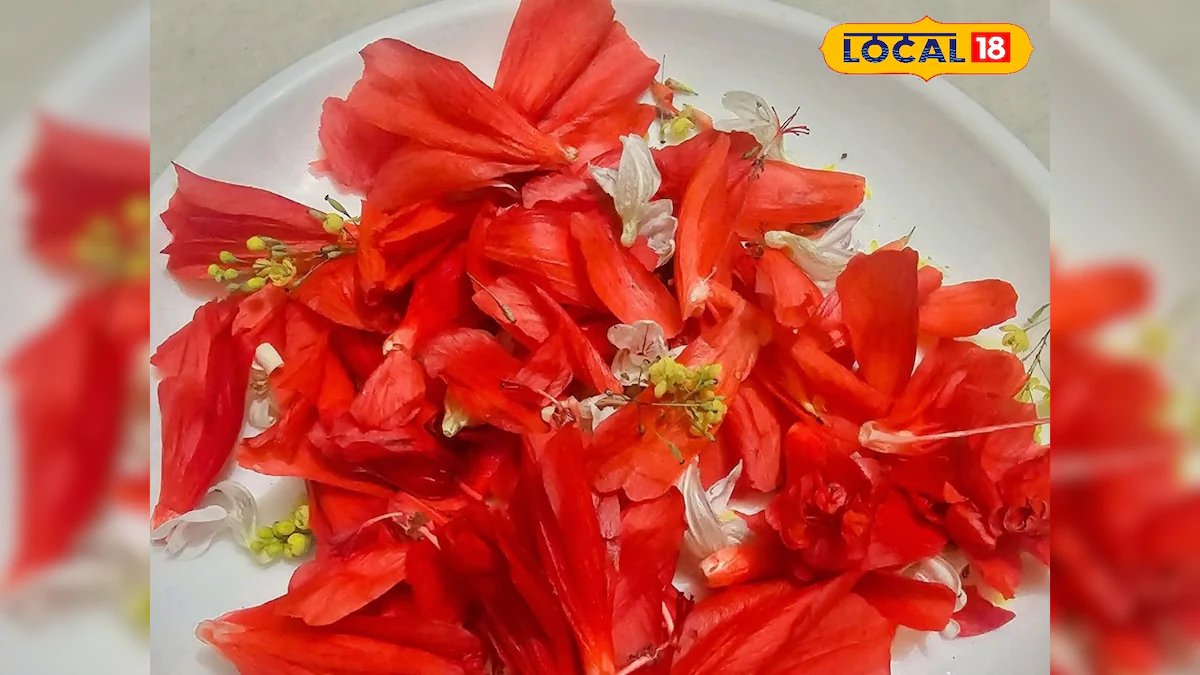 जंगल में उगने वाला ये ‘अनदेखा फूल’ निकला सेहत का खजाना, जानिए इसके गजब फायदे