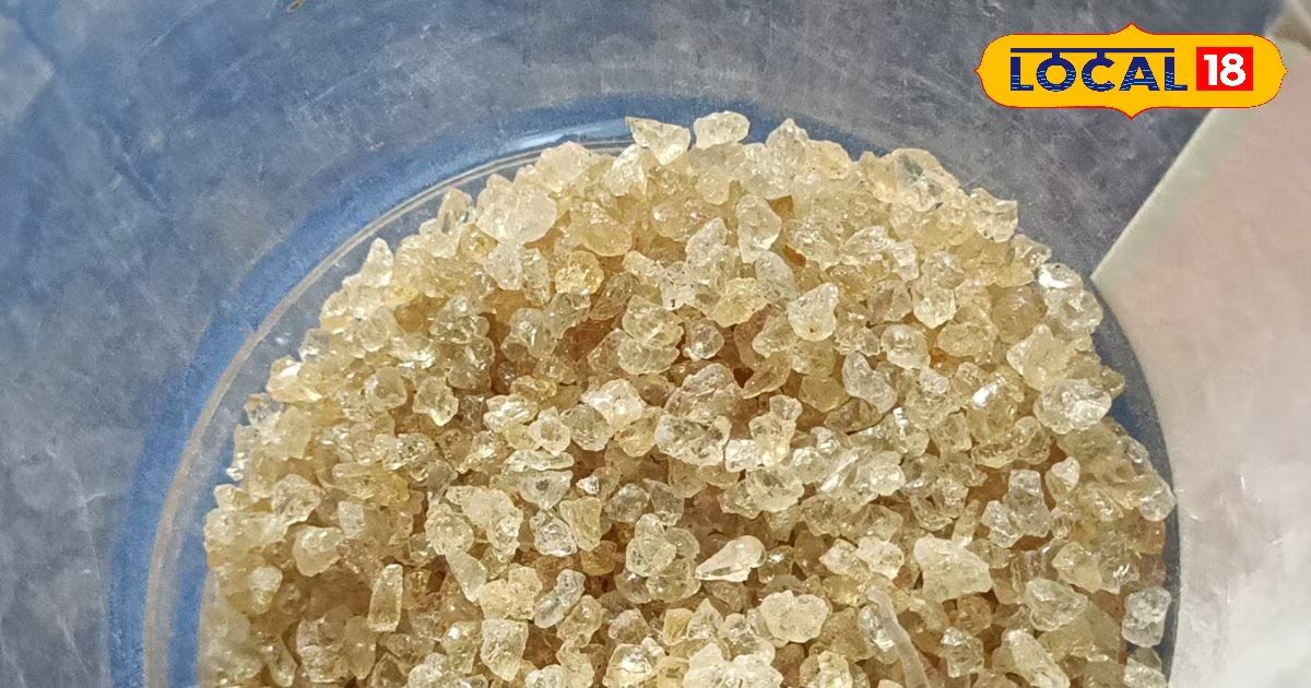 लू और डिहाइड्रेशन से बचाए गोंद कतीरा, गर्मी में शरीर को रखे ठंडा, जानें सेवन का सही तरीका