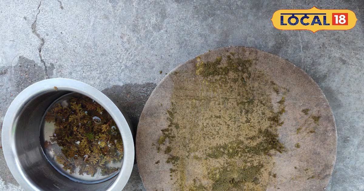 बाजार के ड्रिंक को कहें बाय-बाय, अपनाएं छतरपुर का देसी एनर्जी बूस्टर, गर्मी में बना वरदान