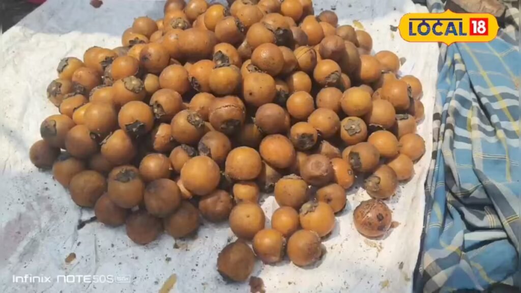 मेरठ से विदेश तक पहुंच रहे छात्र, इन कॉलेजों में आखिर क्या है खास? देखें लिस्ट