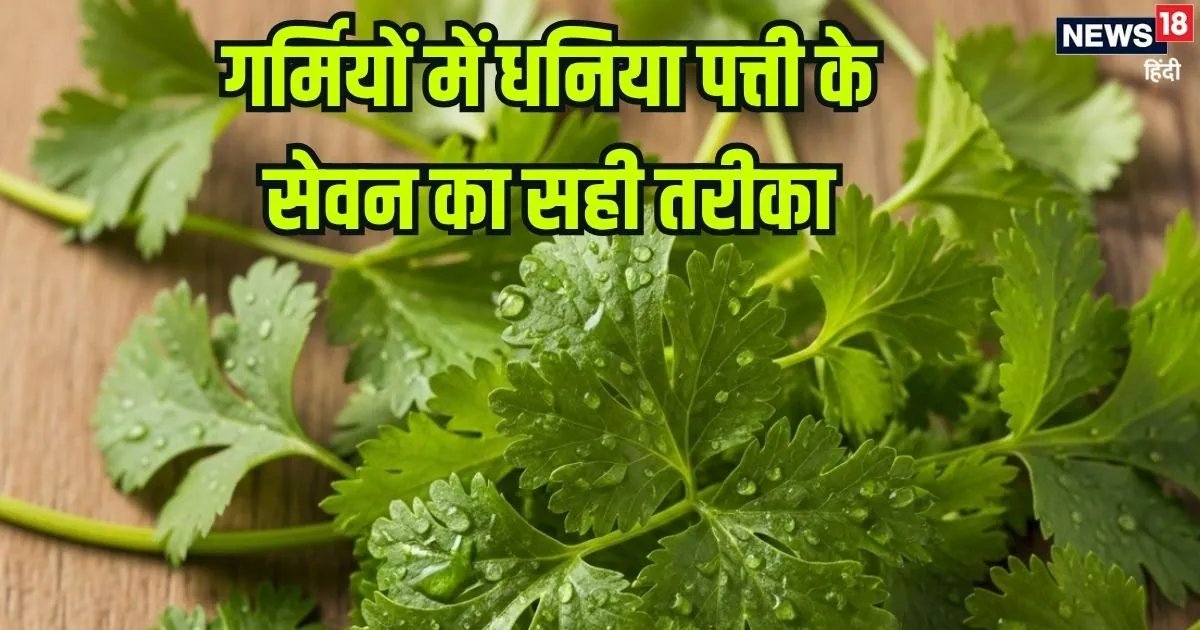 फ्री में मिलने वाली ये हरी पत्तियां हैं सेहत के लिए अनमोल, खून करे साफ, कमजोर इम्यूनिटी करे मजबूत, कई रोगों से बचाए
