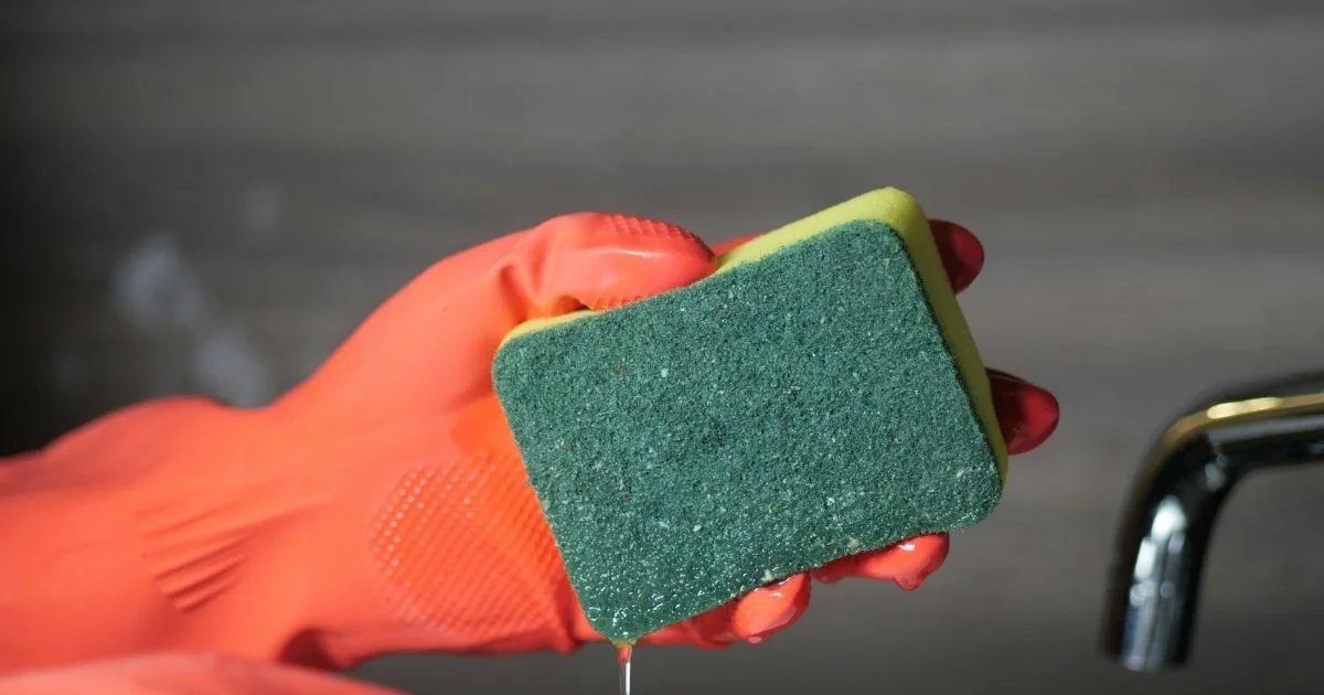 किचन में रखी ये चीज टॉयलेट सीट से भी ज्यादा गंदी, जानलेवा बीमारी का खतरा, तुरंत सुधारें ये गलती