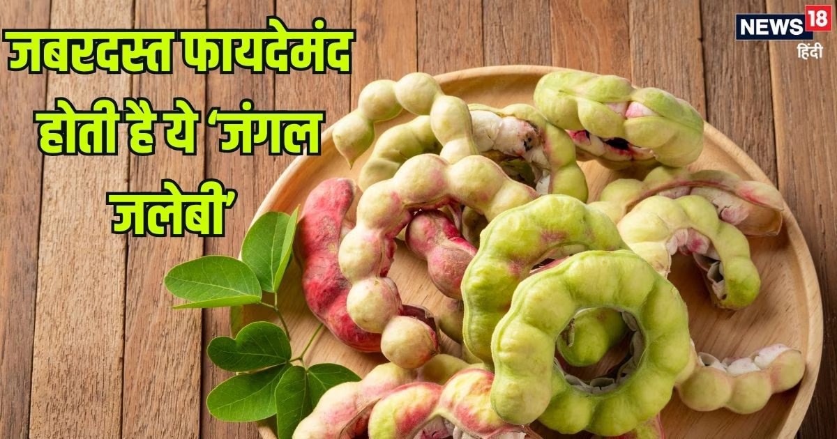 अद्भुत है पेड़ों पर फलने वाली 'जंगल जलेबी', खाने से हड्डियां रहती हैं बुढ़ापे तक मजबूत, ये बड़े फायदे भी जान लें