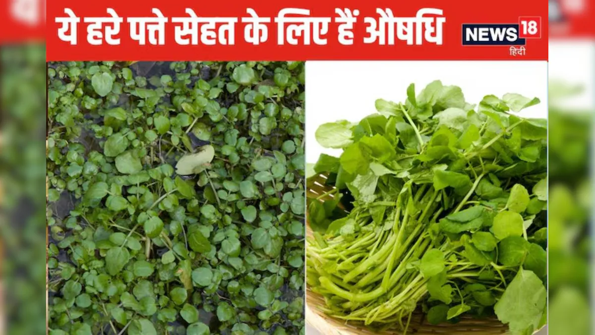 बेकार समझे जाने वाला पौधा भी है गुणों से भरपूर, जानें पानी में उगने वाले जलकुंभी के फायदे