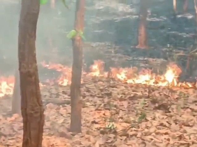 जंगलों में फरवरी से अब तक आगजनी की 424 घटनाएं:कन्हारी-जिलंग में 3 दिनों से उठ रही लपटें, वन विभाग निगरानी कर रहा