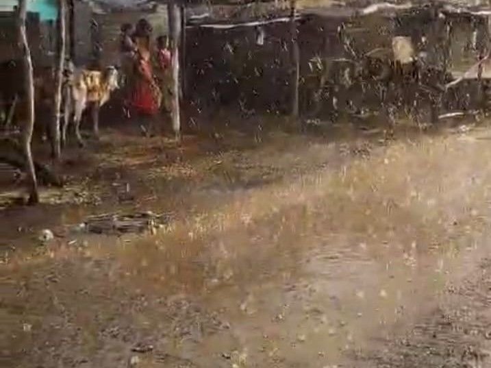 बुरहानपुर में 43° की तपिश के बाद आंधी-बारिश से राहत:शाम को चली तेज हवाएं, नेपानगर क्षेत्र में आधे घंटे तक बारिश