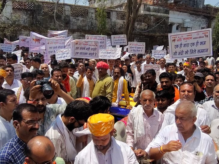 राजगढ़ में गौ माता आगे-आगे, पीछे भजन-कीर्तन की गूंज:बैलगाड़ी में 10 हजार हस्ताक्षरों का ज्ञापन लेकर निकली रैली, गौ-हत्या पर पूर्ण प्रतिबंध लगे