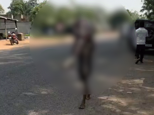 ओडिशा में बहन का कंकाल लेकर बैंक पहुंचा शख्स:कंधे पर लेकर 3km पैदल चला; बैंक कर्मचारियों ने कहा था- जिसका खाता उसे लेकर आओ