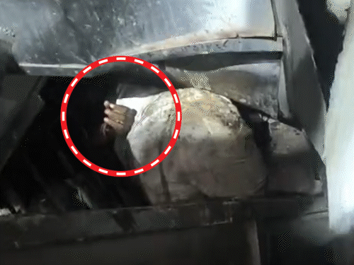 हापुड़ में ट्रक-बस की टक्कर, 6 बारातियों की मौत:टकराने के बाद बस पर गिरा, लोग अंदर दबे, गाड़ी काटकर निकाले गए