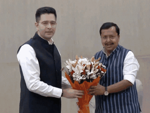 Raghav Chadha BJP Joining Controversy; AAP Sanjay Singh