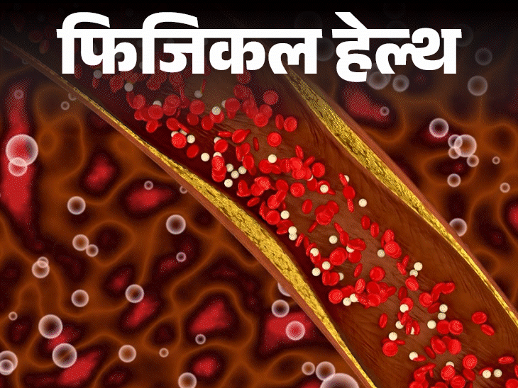 Cholesterol New Guideline; Lipid Profile Screening