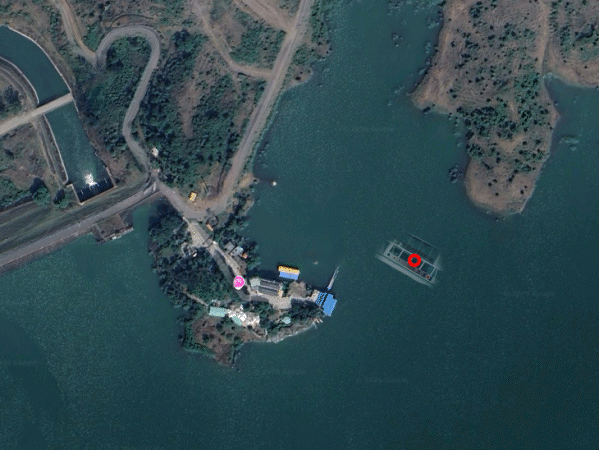 Jabalpur Cruise Accident | 3 Children Missing Tamil Nadu Family