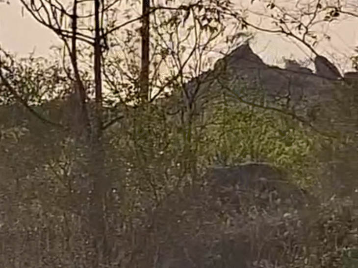 Jabalpur Colonizer Fined 4 Cr; Google Earth Image Evidence; Shobhapur Hill Flattened