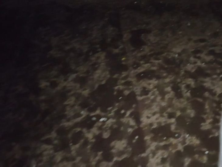 विदिशा के हैदरगढ़ में ओलावृष्टि-आंधी:खड़ी फसलें बिछीं, खलिहानों में रखी उपज को भी नुकसान