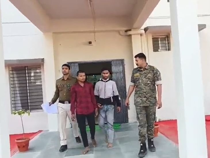 गांजा तस्करी का अंतरराज्यीय नेटवर्क उजागर, 6 आरोपी गिरफ्तार:बालाघाट, ओडिशा, उदयपुर से पकड़े गए, मास्टरमाइंड फरार