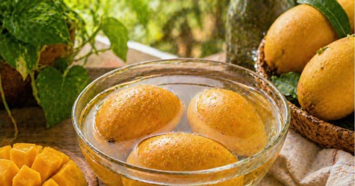 आम खाने का सही तरीका क्या है? जानिए गर्मियों में आम खाते समय किन बातों का रखें ध्यान, वरना बढ़ सकती है परेशानी!