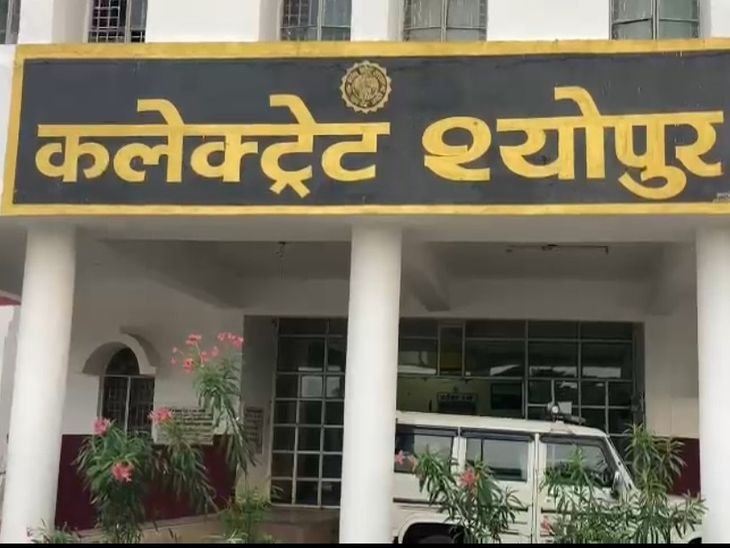 श्योपुर बाढ़ राहत घोटाला, 18 पटवारियों पर चलेगा मुकदमा:कलेक्टर ने दी अभियोजन स्वीकृति; राजस्व रिकॉर्ड में हेराफेरी और धोखाधड़ी की थी