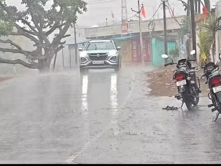 उमरिया में सुबह से तेज बारिश, गेंहू की फसलें बर्बाद:कटाई में देरी और रंग फीका पड़ने से भाव गिरने की आशंका