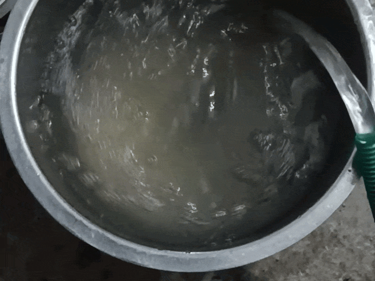 रीवा के मनगवां में इंदौर के भागीरथपुरा जैसा मटमैला पानी:रंग बिल्कुल काला, बदबूदार भी; बच्चों में पेट दर्द-उल्टी की शिकायत