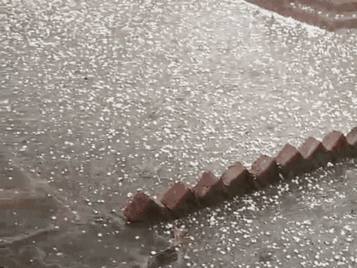 MP Weather Alert | Bhopal Gwalior 34 Districts Aandhi Baarish 40-50kmph