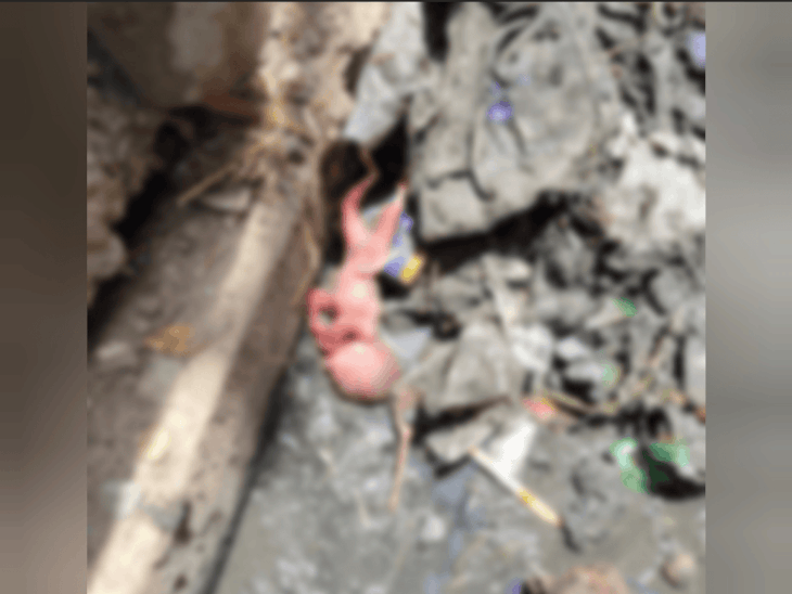 राजगढ़ में 5 माह का भ्रूण मिला:जांच में लड़की होने की पुष्टि; छोड़ने वाले की तलाश में पुलिस ने CCTV खंगाले