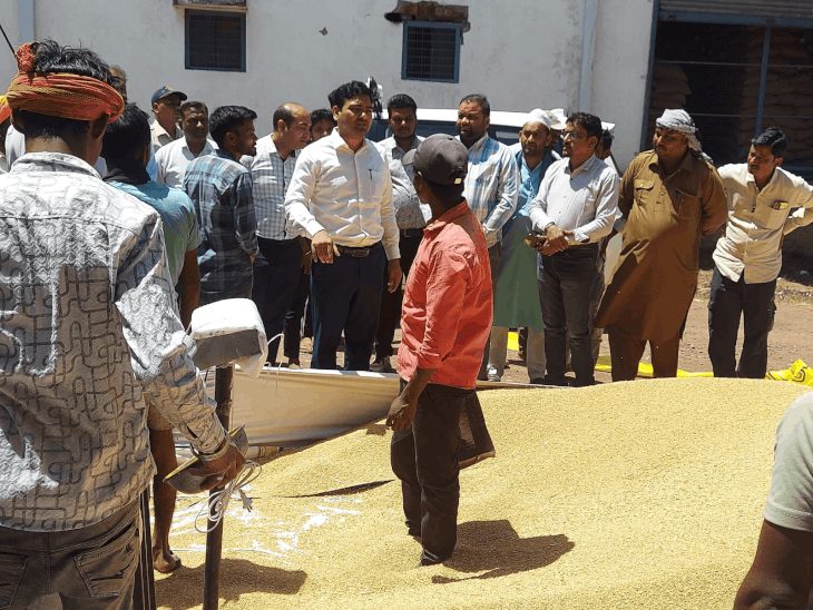रायसेन कलेक्टर का औचक निरीक्षण, गेहूं खरीदी व्यवस्थाओं पर सख्ती:किसानों से लिया फीडबैक; लापरवाही न बरतने के निर्देश दिए