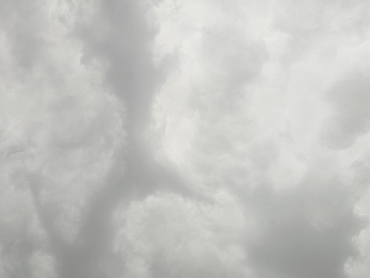 छतरपुर में आंधी-बारिश से भीगा खुले में रखा अनाज:किसानों को नुकसान; अगले दो दिन और बारिश की चेतावनी