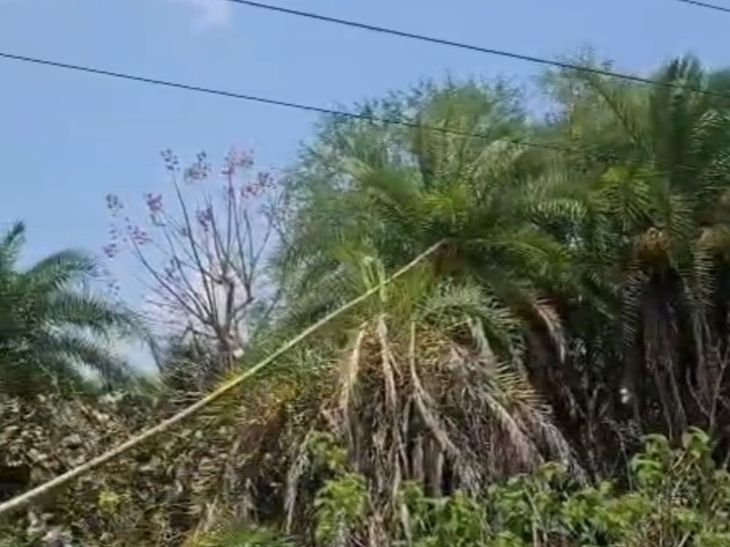 बिजली कटौती से पानी सप्लाई ठप:सीहोर में लोगों की मुश्किल बढ़ी, दो दिन बाद भी नहीं मिला पेयजल