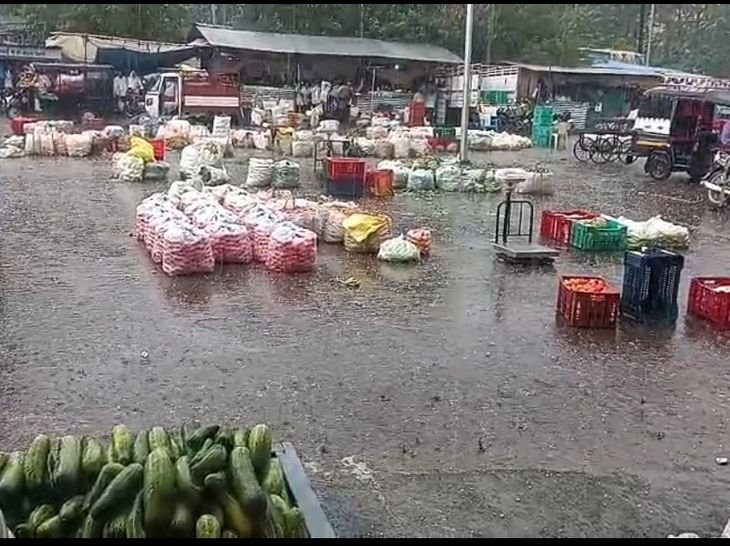 उमरिया में तेज हवाओं के साथ ओलावृष्टि-बारिश:आम की फसल को नुकसान की आशंका; तापमान में गिरावट से राहत