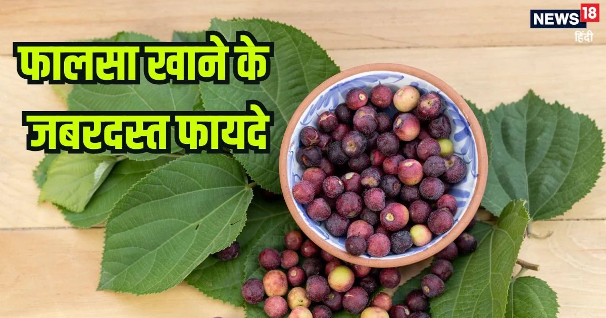 गर्मियों में मिलने वाला ये छोटा गोल-मटोल फल, शरीर को दे ठंडक, एनर्जी करे बूस्ट, खाएंगे तो होंगे ये बड़े फायदे