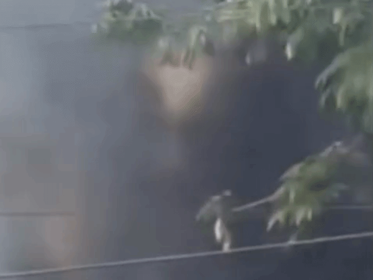 इंदौर में 56 दुकान के पास लगी आग:रेस्टोरेंट की चिमनी से बिल्डिंग में भरा धुआं, बाहर का शेड जला