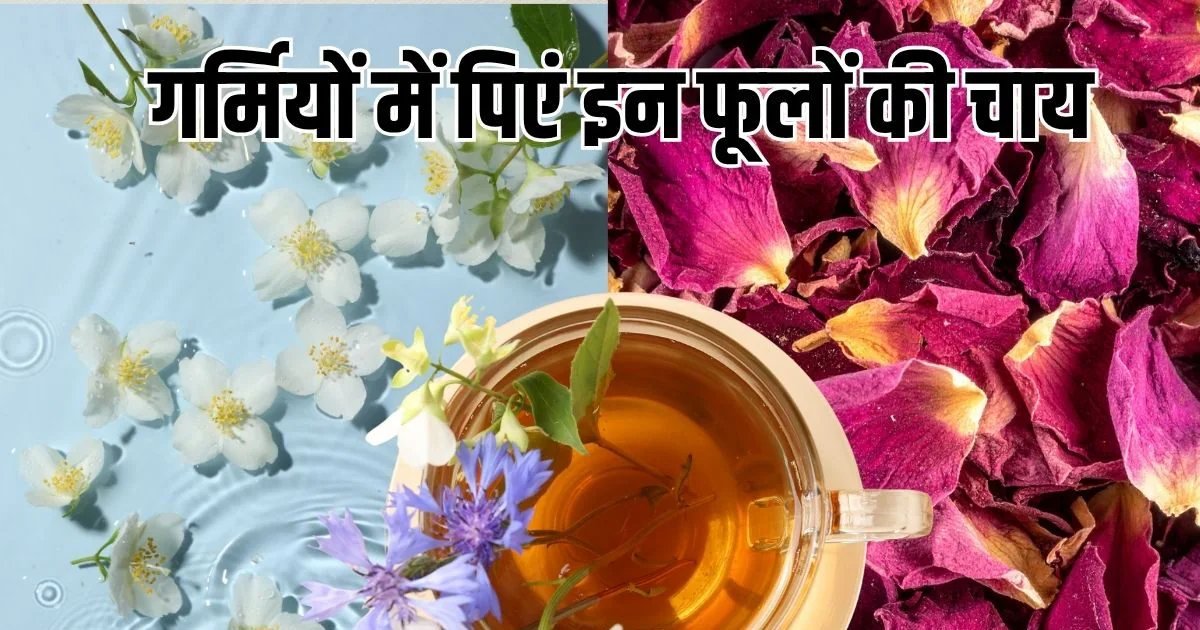 Herbal Flower Tea: चमेली से गुलाब तक, गर्मियों में पिएं इन 10 फूलों की चाय, पूरे दिन बनी रहेगी ताजगी और एनर्जी