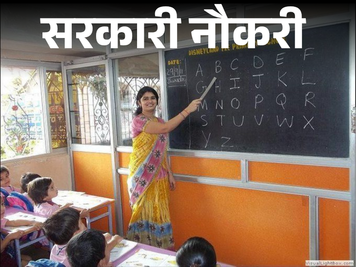 Gujarat Govt Jobs | 11000 Vacancies Released; DCC Bank 104 Posts