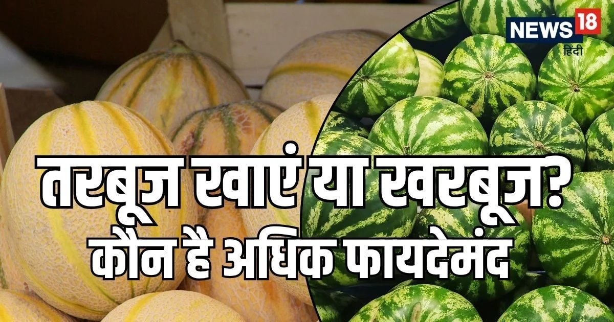 तरबूज खाएं या खरबूजा? गर्मियों में कौन है असली 'हेल्थ टॉनिक', जानें कैंसर से बचाव और वजन घटाने के लिए क्या है बेस्ट!