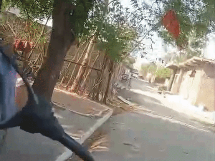 सीहोर चांदबड़ गांव में खुलेआम बिक रहा गांजा:वीडियो सामने आया, सीएसपी बोलीं- कार्रवाई करेंगे