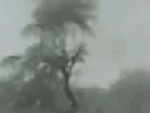 सतना के देवरा गांव में खेतों में लगी आग:6 एकड़ फसल जलकर खाक, 7 किसानों को लाखों का नुकसान