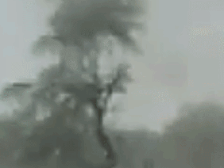 सतना के देवरा गांव में खेतों में लगी आग:6 एकड़ फसल जलकर खाक, 7 किसानों को लाखों का नुकसान