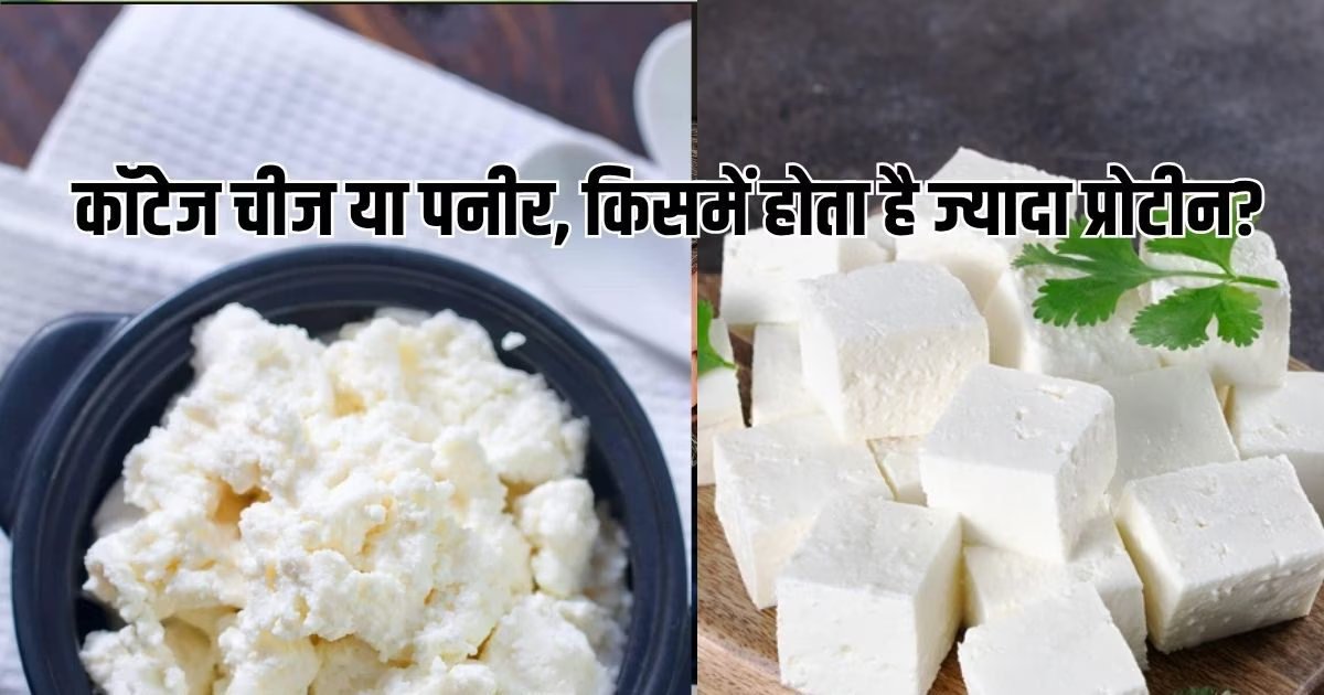 Cottage Cheese Vs Paneer: कॉटेज चीज और पनीर में फर्क है? किसमें ज्यादा प्रोटीन, सेहत के लिए क्या है हेल्दी ऑप्शन, जानें दोनों का अंतर