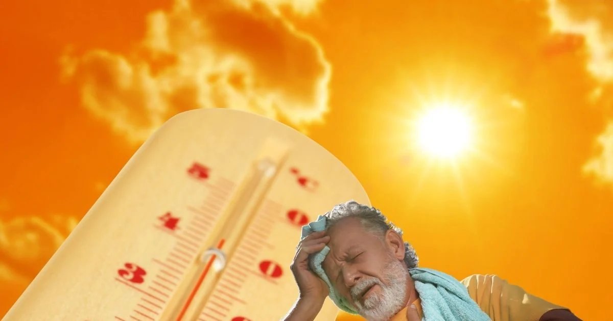 Heat Stroke: हीट स्ट्रोक क्या होता है? गर्मी में कैसे रहें हेल्दी, जानें जरूरी हेल्थ गाइड