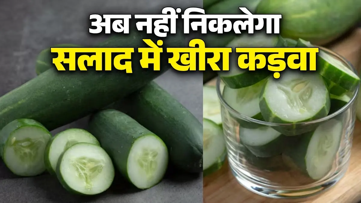 गर्मियों में खीरे की कड़वाहट कैसे दूर करें सलाद के लिए आसान टिप्स खीर की कडवाहट कैसे दूर करें टिप्स