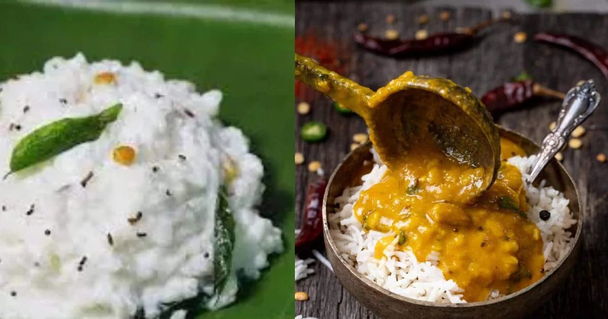 पेट की गर्मी और कब्ज दूर करने के लिए दही-चावल है बेहतर या दाल-चावल? एक्सपर्ट से जानें सही जवाब!