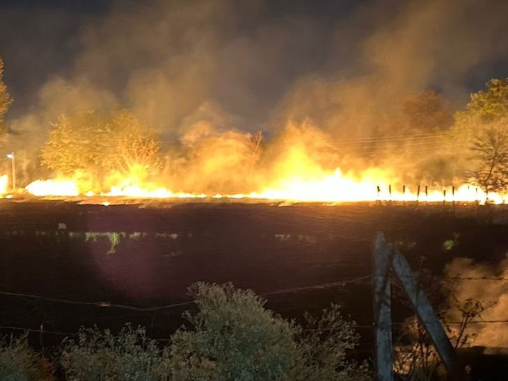 छिंदवाड़ा में बीच शहर जली नरवाई:कॉलोनियों के पास तक आग फैली, दहशत मे निवासी