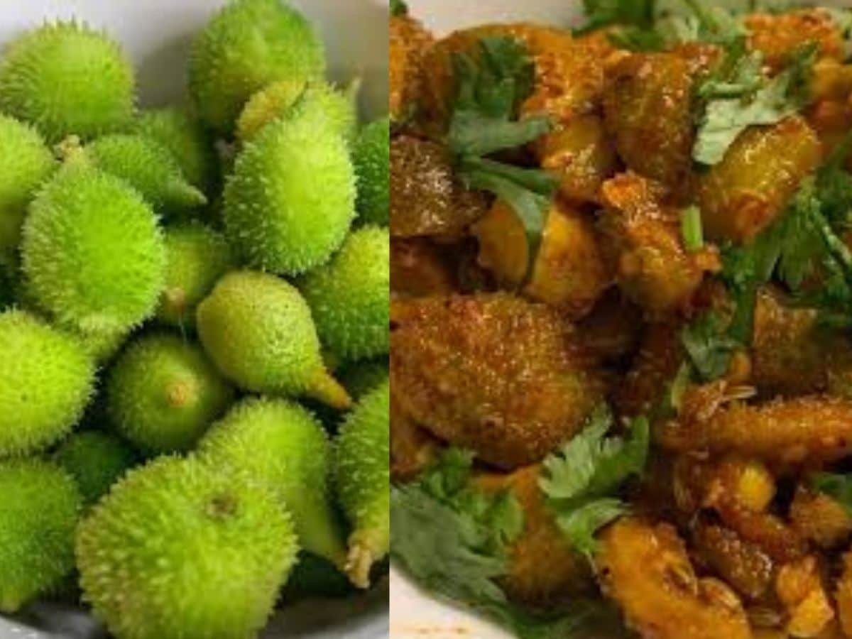 Spiny Gourd: दुनिया की सबसे ताकतवर सब्जी 'कंटोला' के बारे में जानते हैं? इस महीने मिलती है, ब्लड शुगर को तुरंत कर सकती है कंट्रोल
