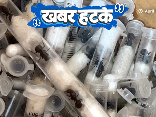 Khabar Hatke | Child Swims Sri Lanka To India