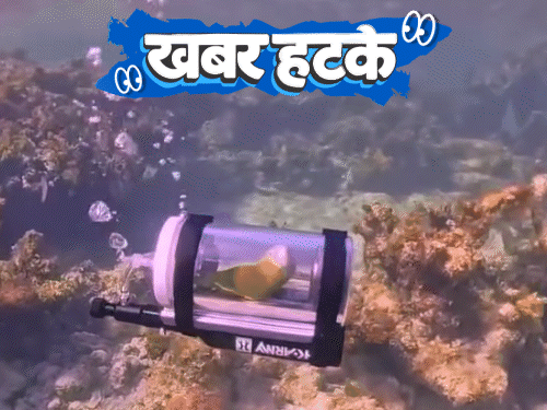 Khabar Hatke- Parrot Sea Visit & Ghost Temple in School; Egg Fetches ₹25K